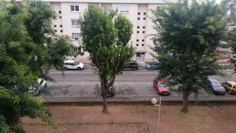 Photo n°1