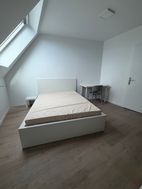 Photo n°4