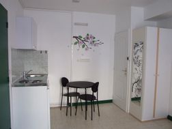 Photo n°1