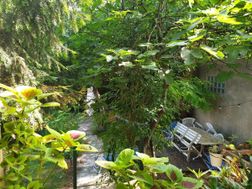 Photo n°4