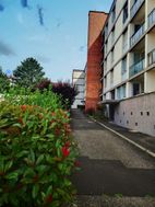 Photo n°1