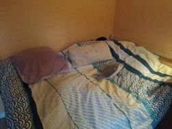 Photo n°6