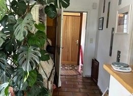 Photo n°8