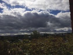 Photo n°5