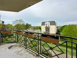 Photo n°3