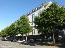 Photo n°4