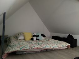 Photo n°5