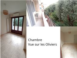 Photo n°5
