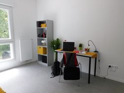 Photo n°3
