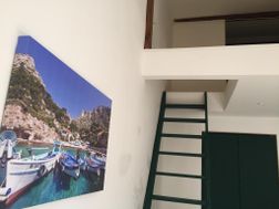 Photo n°1