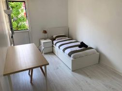 Photo n°3