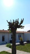 Photo n°3