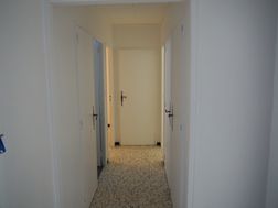 Photo n°6