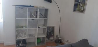 Photo n°2