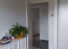 Photo n°4
