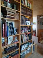 Photo n°6