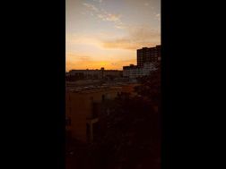 Photo n°17