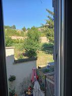 Photo n°6