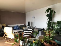 Photo n°3