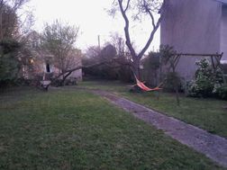 Photo n°3