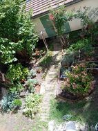 Photo n°8