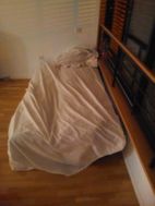 Photo n°2