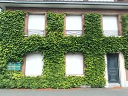 Photo n°5