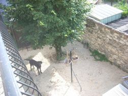 Photo n°2