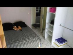 Photo n°3