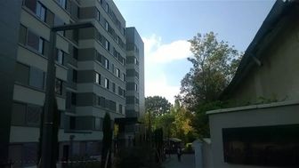 Photo n°6