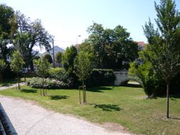 Photo n°1