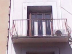 Photo n°5