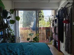 Photo n°6