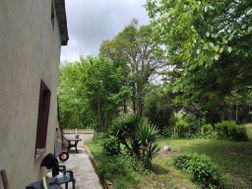 Photo n°1