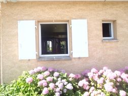 Photo n°4