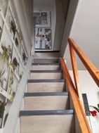 Photo n°4