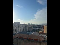 Photo n°13