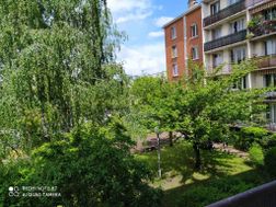 Photo n°6