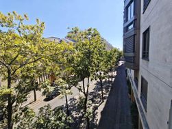 Photo n°4