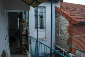 Photo n°7