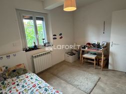Photo n°11