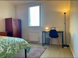 Photo n°2