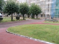 Photo n°4