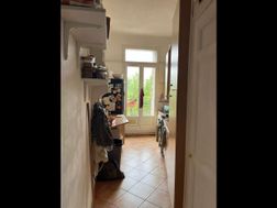 Photo n°4