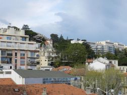 Photo n°6