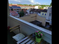 Photo n°4