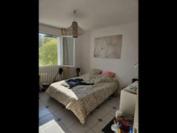 Photo n°2