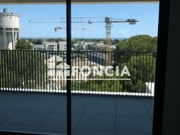 Photo n°6