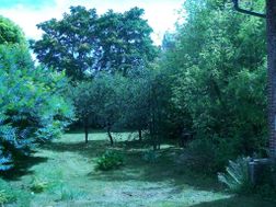 Photo n°3