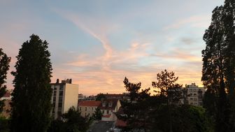 Photo n°5